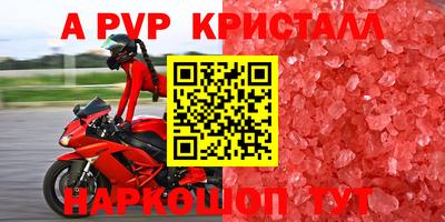 Альфа ПВП Новодвинск