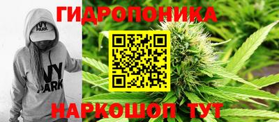 твердый Новокубанск