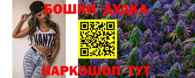 Альфа ПВП Новодвинск