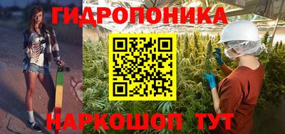 твердый Новокубанск