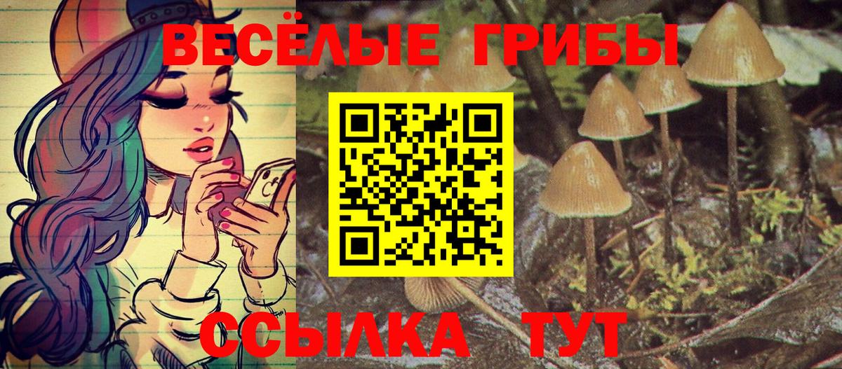 Галлюциногенные грибы MAGIC MUSHROOMS  Вход с VPN  где купить наркотик  Саранск 